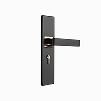 Door Lock